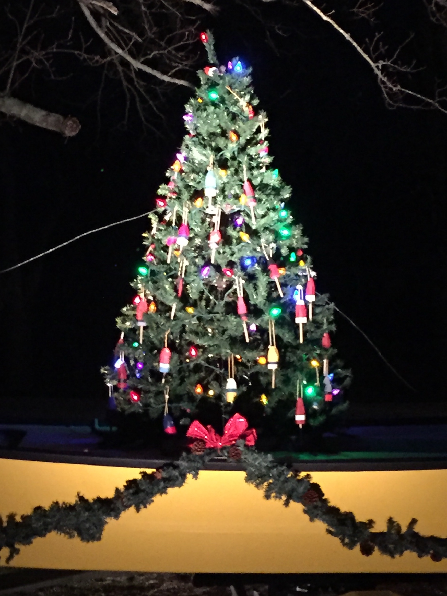 Christmas Tree with Lights at Night